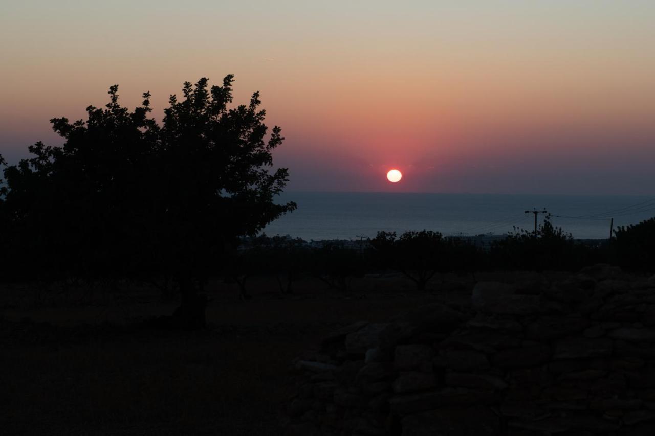 קורל ביי Adonis Villa מראה חיצוני תמונה